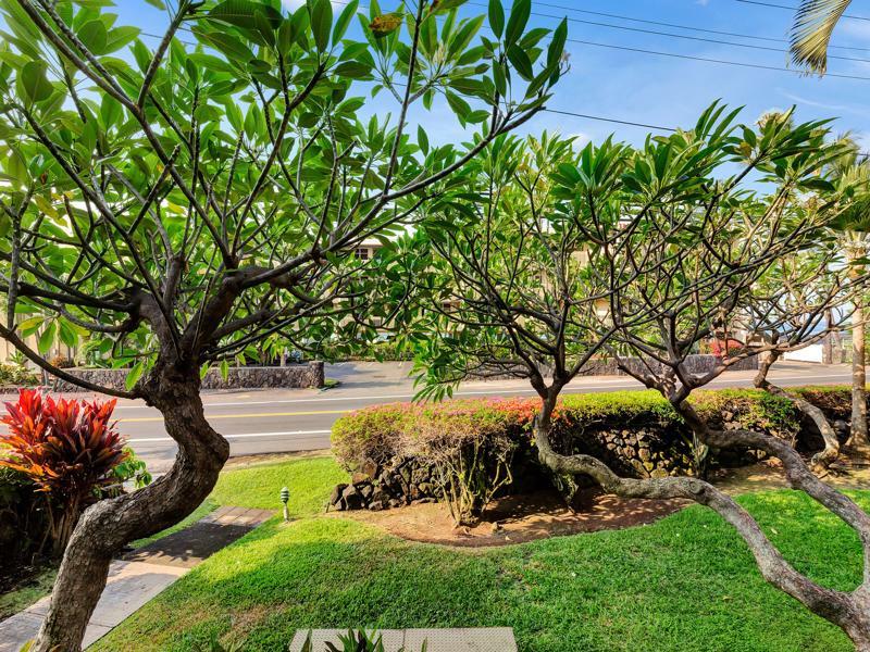 Castle Kona Bali Kai A Condominium Resort Holualoa Zewnętrze zdjęcie